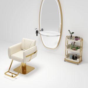 Mobile Hydraulic Barber Swivel Chair